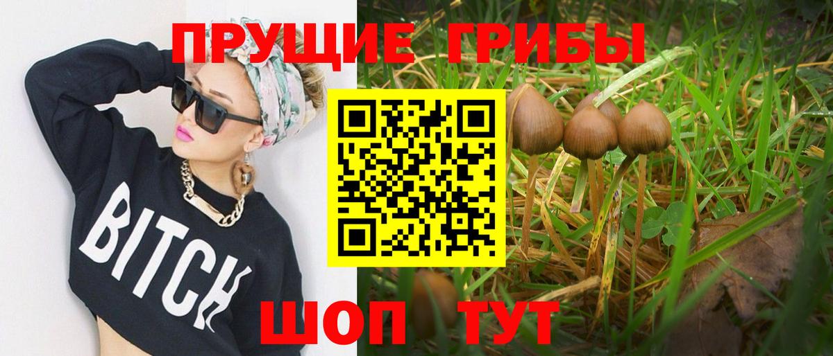 Североуральск  купить наркотик  Галлюциногенные грибы ЛСД  Вход с VPN  Галлюциногенные грибы GOLDEN TEACHER 